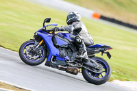 Oulton-Park-14th-March-2020;PJ-Motorsport-Photography-2020;anglesey;brands-hatch;cadwell-park;croft;donington-park;enduro-digital-images;event-digital-images;eventdigitalimages;mallory;no-limits;oulton-park;peter-wileman-photography;racing-digital-images;silverstone;snetterton;trackday-digital-images;trackday-photos;vmcc-banbury-run;welsh-2-day-enduro